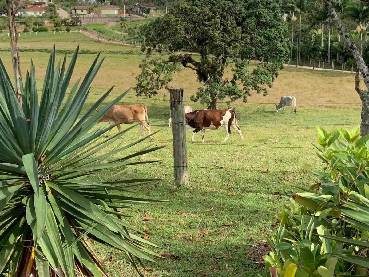 Sitio Canta Galo Governador Celso Ramos Buitenkant foto